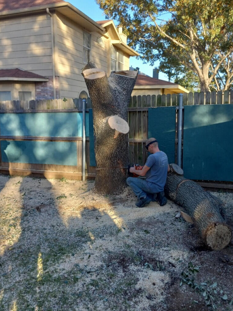Stump Grinding