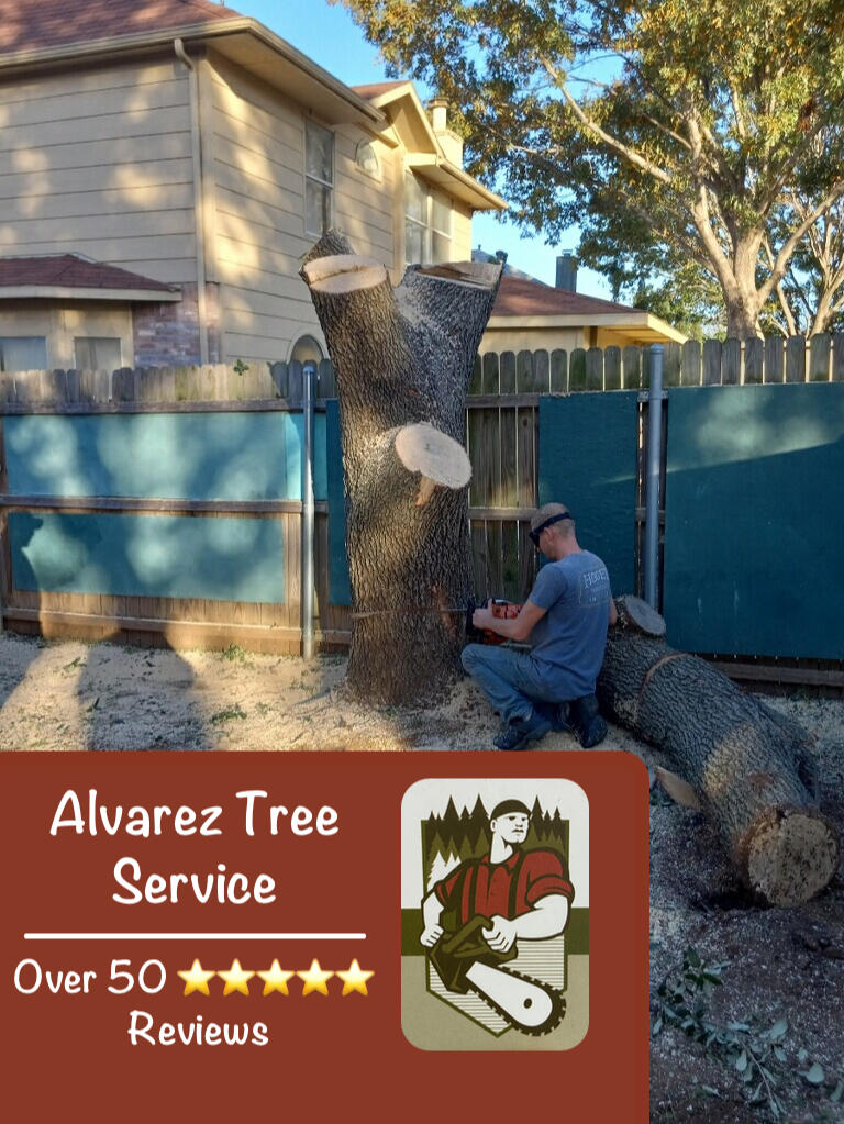 Fort Worth Tree Stump Removal